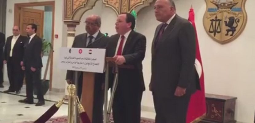 بالفيديو.. وزراء خارجية مصر وتونس والجزائر يجددون دعمهم للاتفاق السياسي الليبي