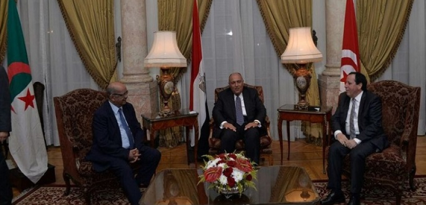 شكري فى تونس لحضور الاجتماع الوزاري الثلاثي لدعم التسوية في ليبيا