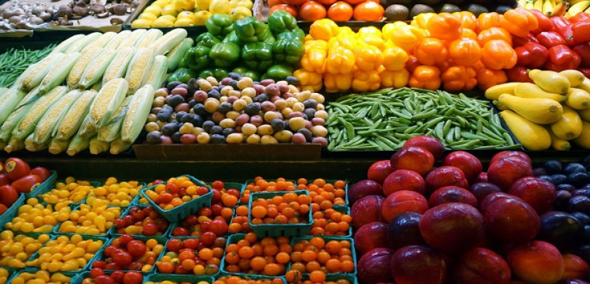 تقرير رسمي: ارتفاع صادرات مصر من الخضر والفاكهة إلى 2.8 مليون طن