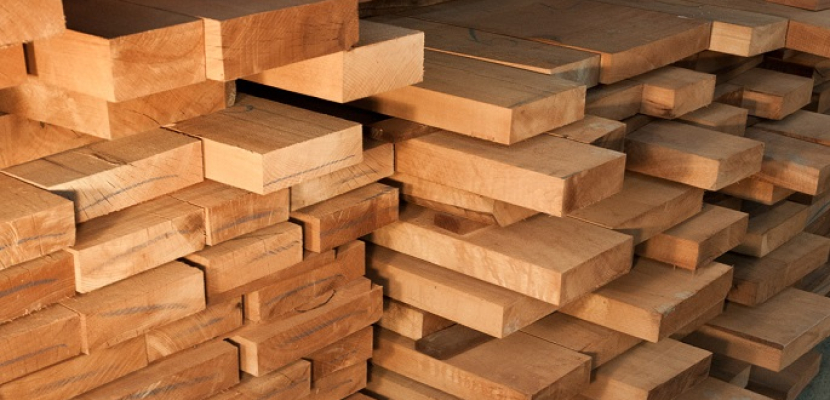 في المستقبل.. الخشب سيحل محل الصلب في صناعة السيارات والطائرات