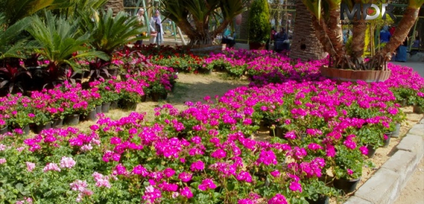 وزير الزراعة يفتتح اليوم الدورة 85 لمعرض زهور الربيع بحديقة الأورمان