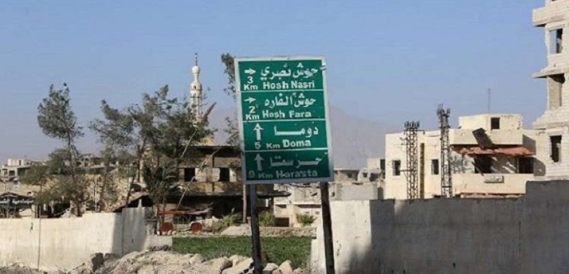 القوات السورية تواصل تقدمها بالغوطة الشرقية وتطوق أهم مدينتين فيها