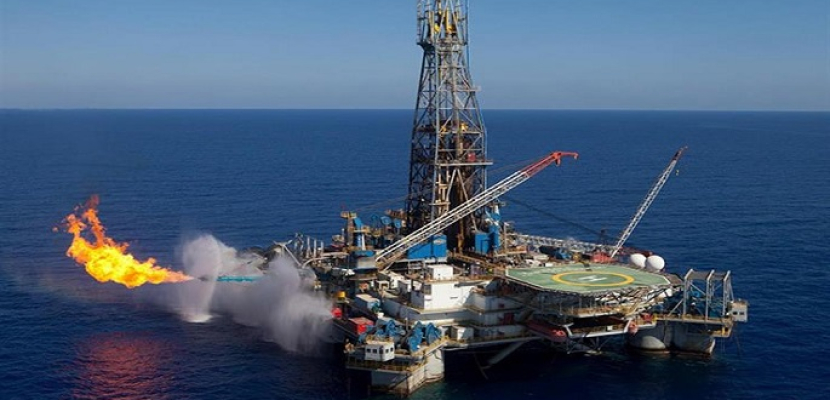 “البترول”: تكثيف العمل بالبحر الأحمر لطرح أول مزايدة عالمية للتنقيب