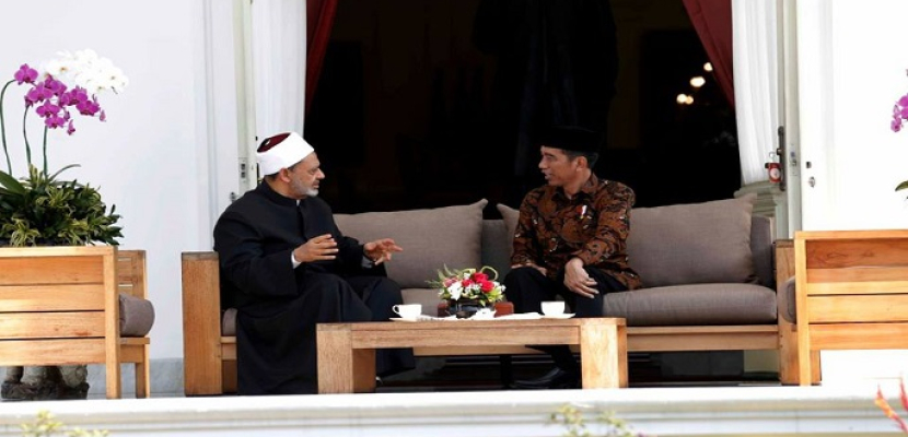 الطيب يبحث مع الرئيس الإندونيسي القضايا ذات الاهتمام المشترك