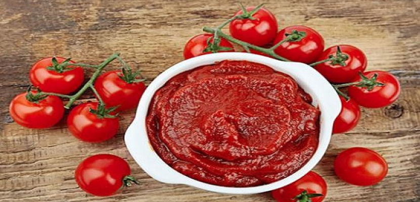 دراسة: صلصة الطماطم تعزز صحة الأمعاء