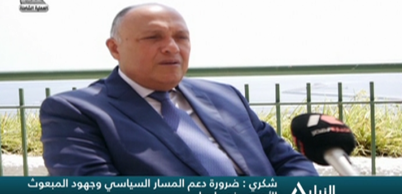 مقابلة للتليفزيون المصري مع سامح شكري وزير الخارجية