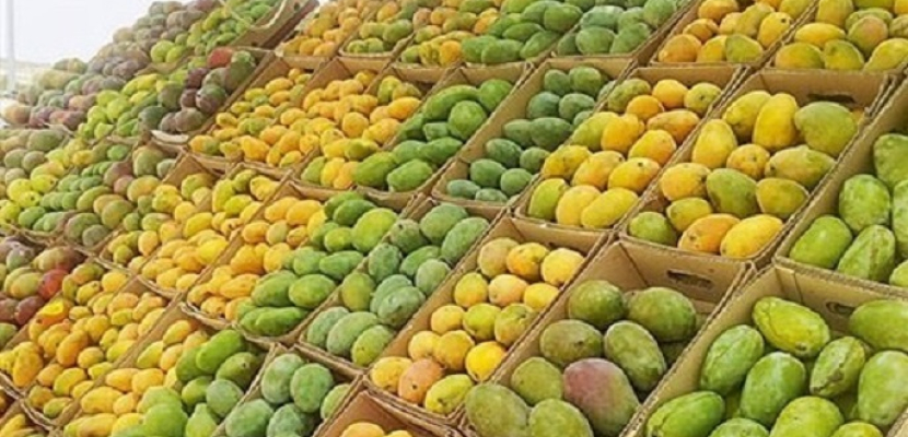 تراجع صادرات مصر من المانجو والفراولة والفاصولياء الخضراء