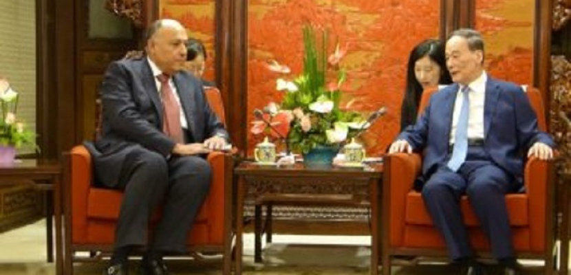 خلال لقائه بنائب الرئيس الصيني..شكرى يؤكد عمق العلاقات المصرية الصينية