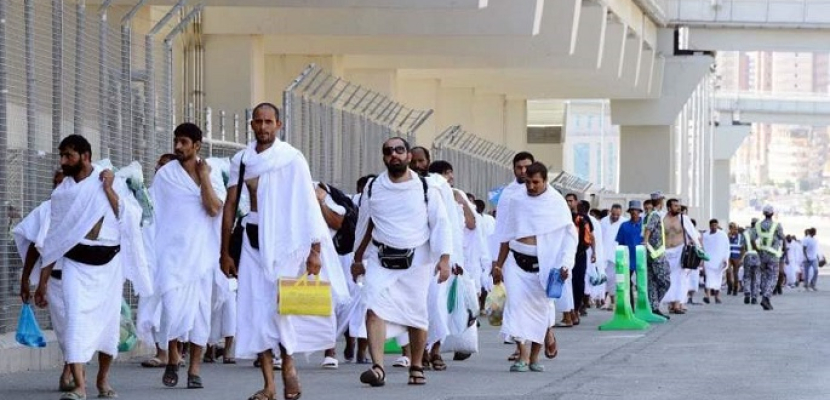 صحيفة الرياض السعودي: لجنة الحج بمنطقة المدينة المنورة تؤكد وصول أكثر من نصف مليون حاج