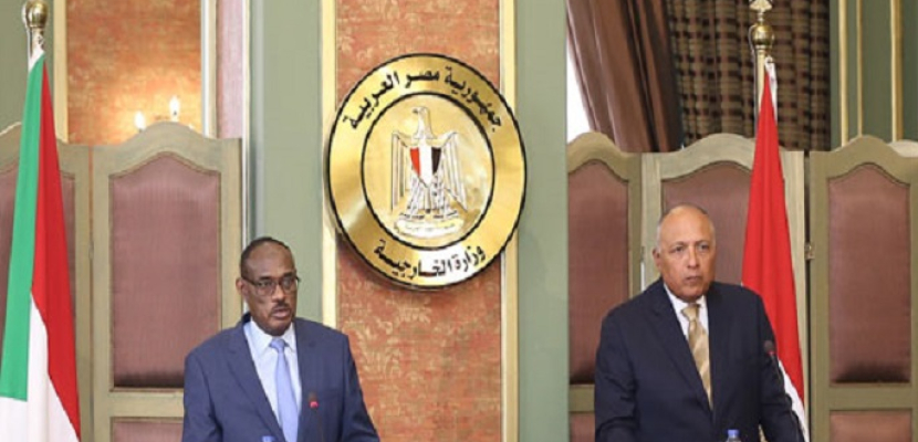 شكري: نحتاج إلى تسريع مفاوضات سد النهضة.. وهناك توجه إيجابي من رئيس وزراء إثيوبيا