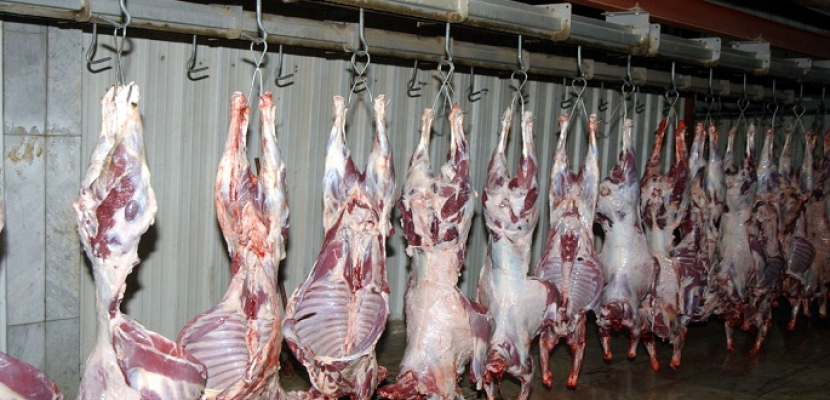 وزارة الزراعة تكثف حملات التفتيش على اللحوم خلال إجازة عيد الأضحى المبارك