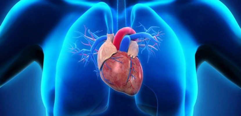 علماء يحددون الجينات المرتبطة بقصور وظائف القلب
