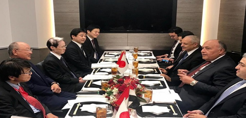 شكري يستعرض برنامج الإصلاح الاقتصادي مع أعضاء مجلس الأعمال الياباني المصري