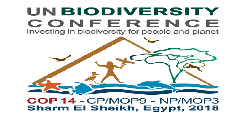انطلاق المؤتمر العالمى للتنوع البيولوجى برعاية الرئيس السيسى بشرم الشيخ اليوم