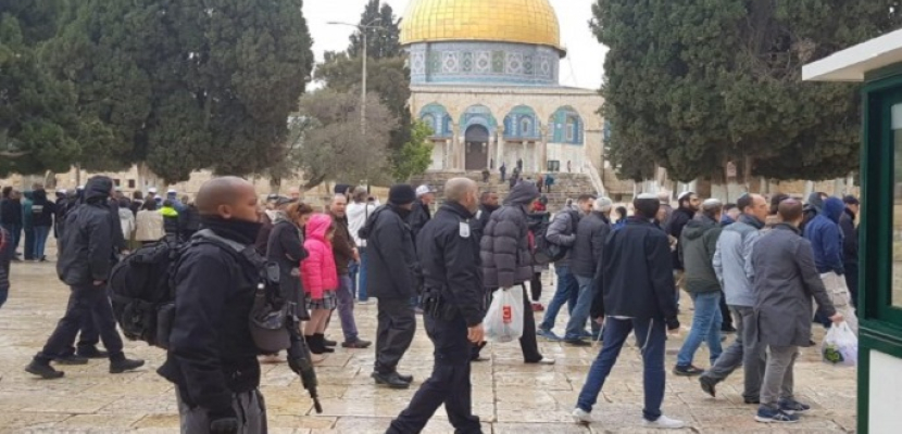 مستوطنون يقتحمون الأقصى والاحتلال يستدعي محافظ القدس للتحقيق