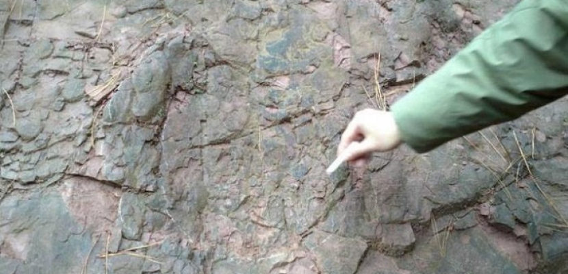 العثور على آثار أقدام ديناصورات في منجم نحاس جنوب غربي الصين