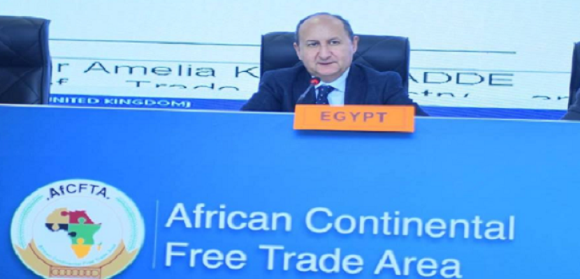 وزير التجارة: مصر ملتزمة بتحقيق التنمية الاقتصادية الشاملة والمتوازنة لدول القارة الأفريقية