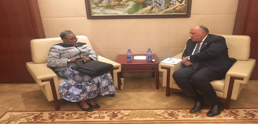 وزير الخارجية يبحث مع نائب رئيس وزراء ناميبيا العلاقات الثنائية والقضايا الأفريقية