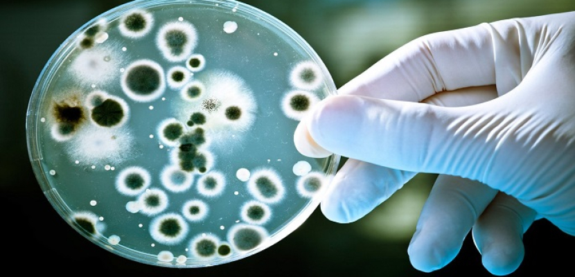 انتشار البكتيريا الخارقة يدق ناقوس الخطر في أوروبا