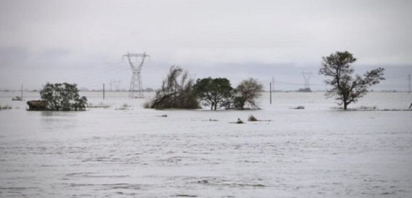 ارتفاع حصيلة ضحايا الإعصار “هاجيبيس” في اليابان إلى 40 قتيلا و189 مصابا