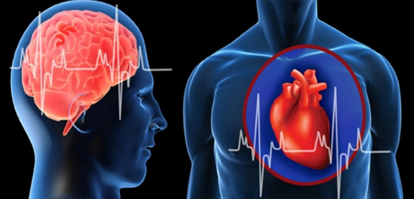 دراسة: ما يضر القلب يضر المخ أيضا