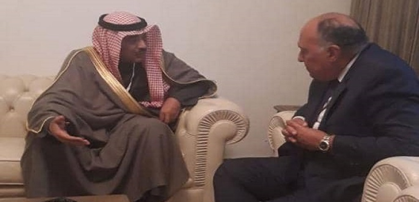 شكرى يبحث مع نائب رئيس الوزراء الكويتى تعزيز العلاقات الثنائية والقضايا الإقليمية