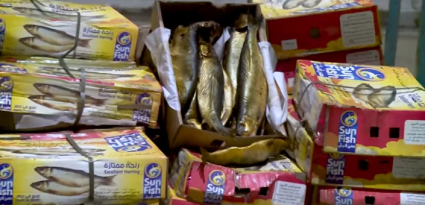 بالفيديو.. شرطة التموين تضبط كميات من الأسماك غير صالحة للاستهلاك قبل طرحها بالأسواق