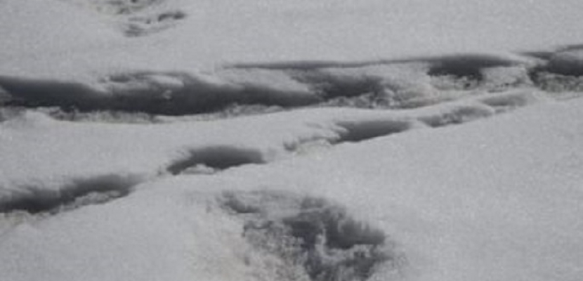الجيش الهندى يعثر على آثار أقدام “رجل الثلج” الأسطورى