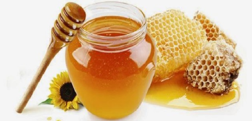 دراسة تؤكد عسل النحل يعالج قروح الفم كالدواء