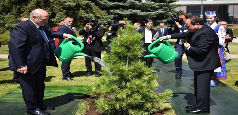 بالصور.. الرئيس السيسي يشارك نظيره البيلاروسي في زرع شجرة صداقة بحديقة القصر الرئاسي بمينسك