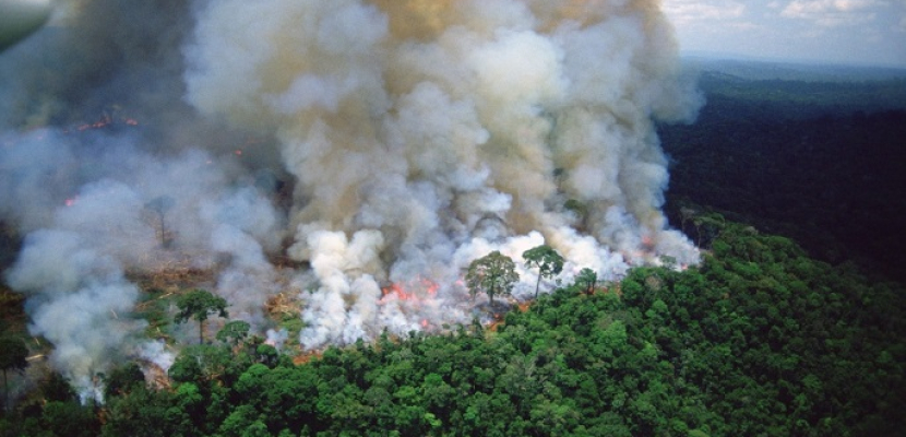 حرائق غابات الأمازون تهدد رئة كوكب الأرض