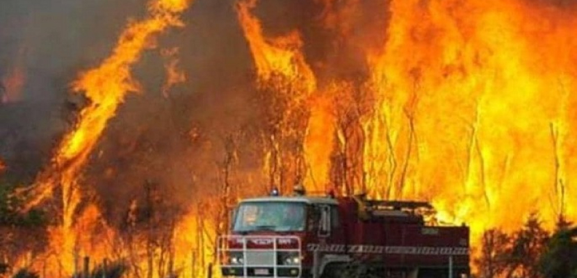 إجلاء 8 آلاف شخص بسبب حرائق الغابات بجزر الكناري