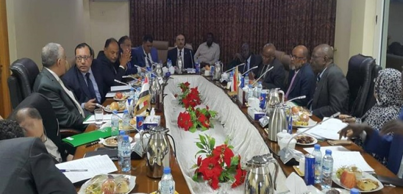 وزير الري يزور السودان لبحث أوجه التعاون المشترك
