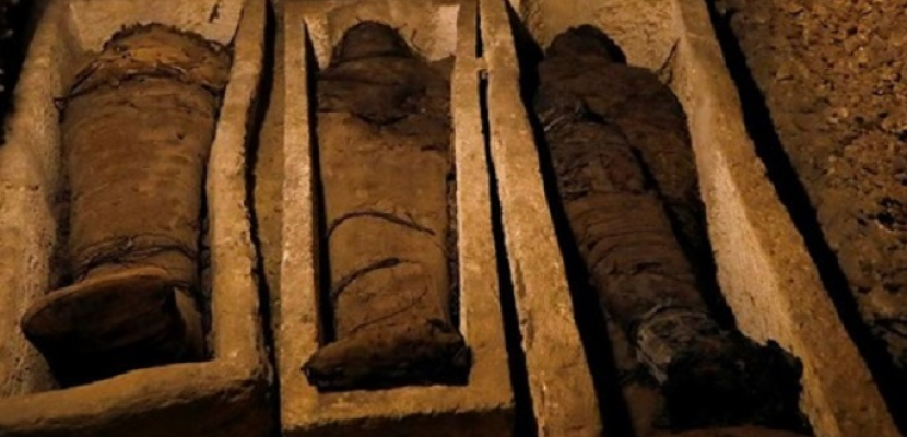 “الآثار” تبحث استعدادات نقل مومياوات من المتحف المصري لمتحف الحضارة