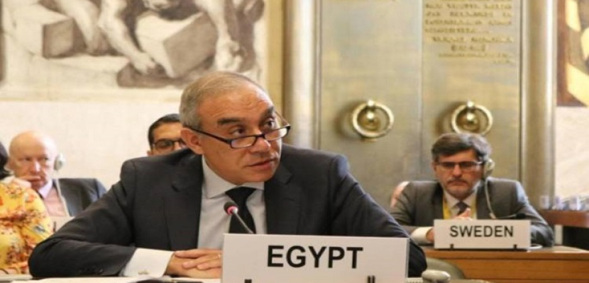 بعثة مصر في جنيف تنظم لقاءات للمجموعة الإفريقية لمتابعة جهود دعم القارة لمواجهة كورونا