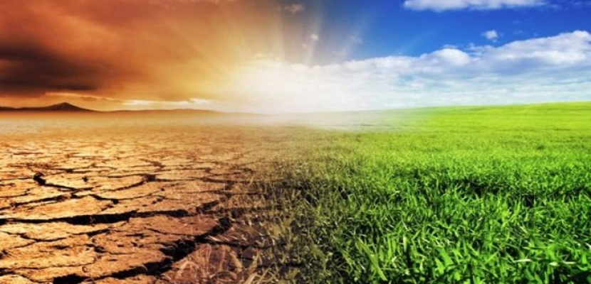 تأثير التغير المناخي على تناقص الأراضي الرطبة بمنطقة المتوسط “صادم وعنيف”