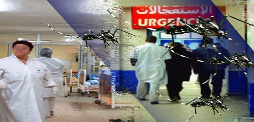 4 آلاف جزائري في المستشفى بسبب بعوضة