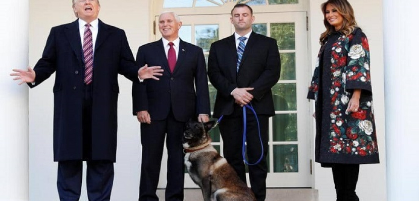ترامب يكرّم الكلب كونان بعد إصابته في عملية تصفية البغدادي