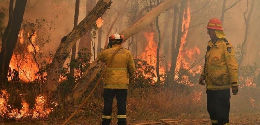 السلطات الأسترالية تعلن حالة الطوارىء بسبب الحرائق الضخمة في البلاد