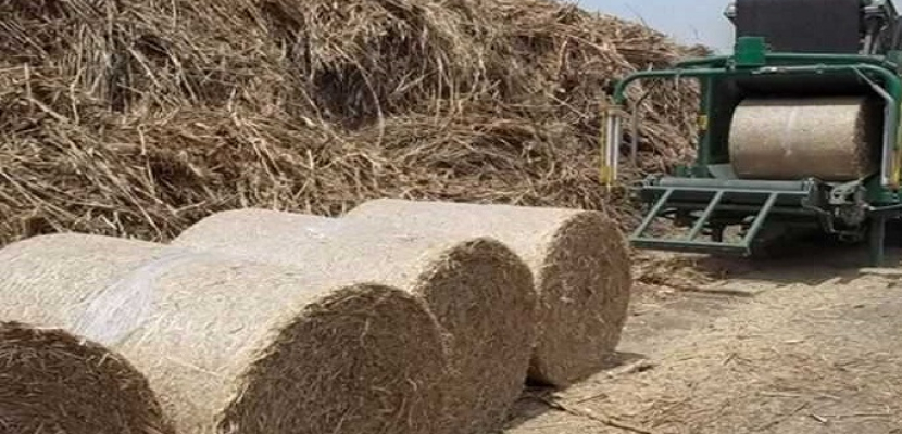 باستثمارات 210 ملايين يورو .. مشروع جديد لإنتاج ألواح خشبية من قش الأرز