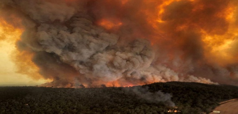 استطلاع للرأي: 14% من سكان استراليا تأثروا بشكل مباشر جراء حرائق الغابات