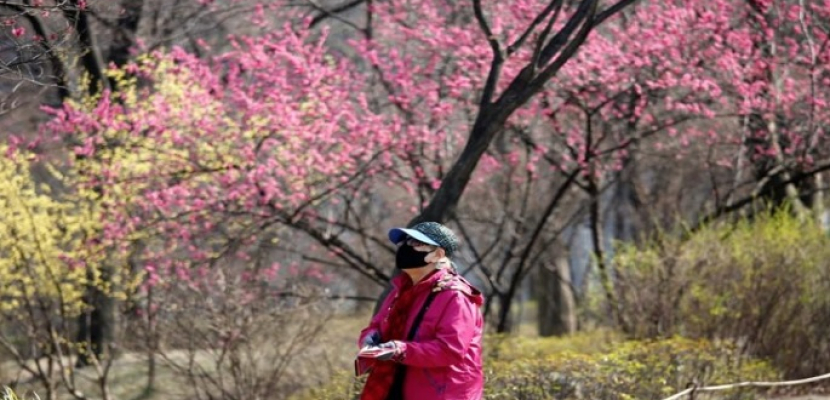 كوريا الجنوبية تعلن 76 حالة إصابة جديدة بكورونا