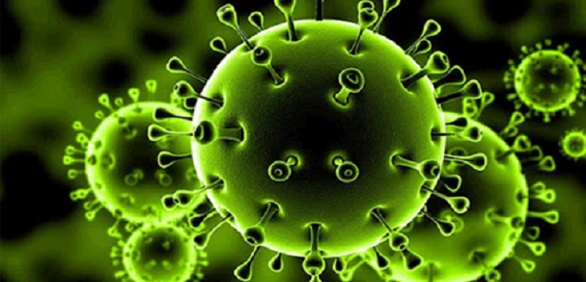 علماء فرنسيون يكتشفون درجة “فناء” الفيروسات التاجية