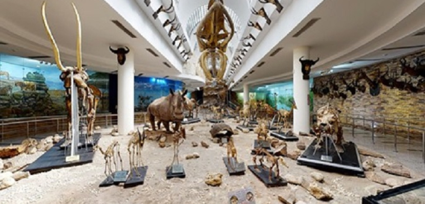 السياحة والآثار تنظم زيارة افتراضية للمتحف الحيواني بحديقة الحيوان