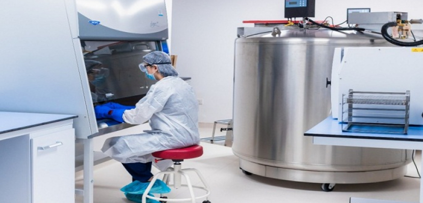 الإمارات تعلن عن تطوير علاج مبتكر بالخلايا الجذعية لفيروس كورونا