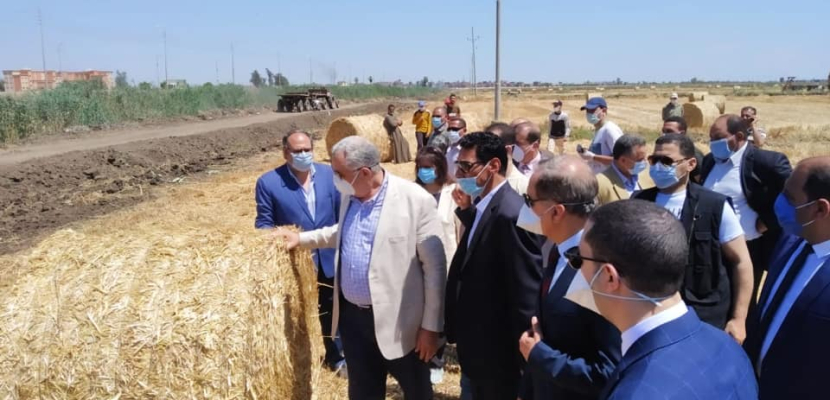 وزير الزراعة يشهد حصاد القمح بحافظة  بكفر الشيخ