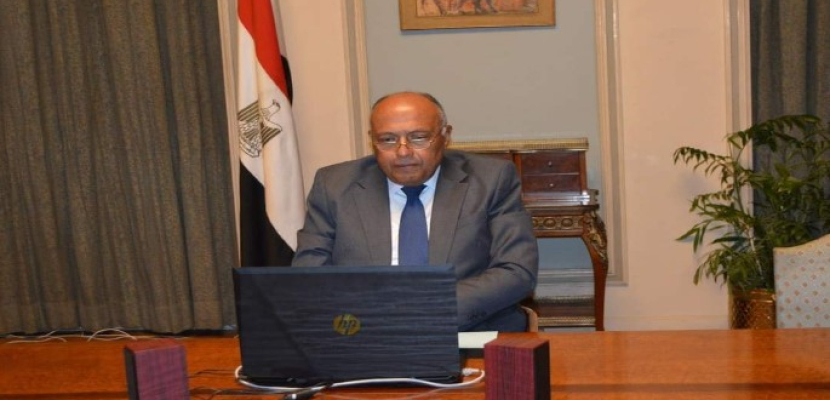 بالصور .. شكري يؤكد على دعم مصر لجهود تعزيز التعاون الجنوب جنوب