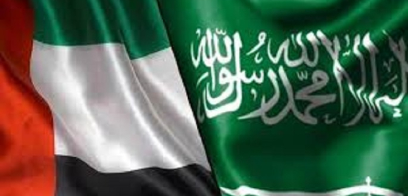 “البيان”: الإمارات والسعودية تعملان على مكافحة التطرف وتحقيق الاستقرار في العالم