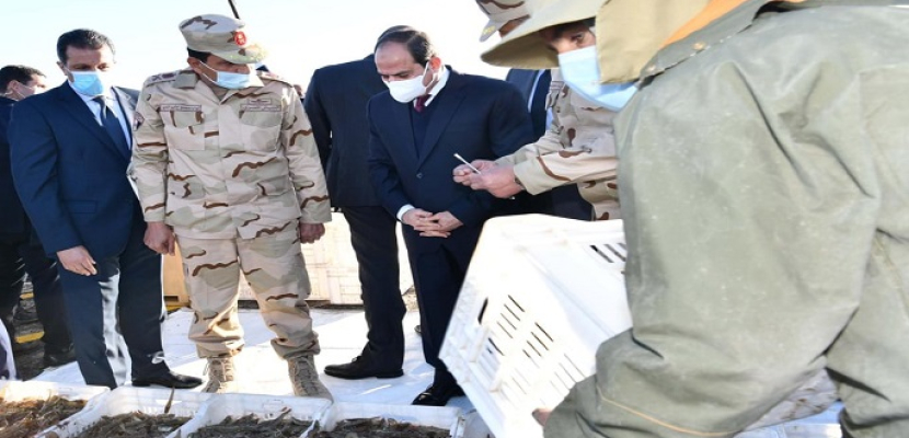 بالفيديو.. الرئيس السيسي يتفقد مشروع الفيروز للاستزارع السمكي ببورسعيد
