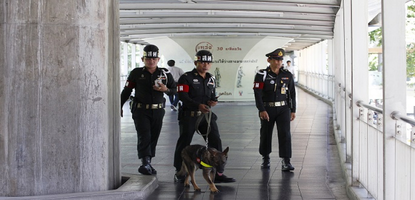 تايلاند.. كلاب بوليسية مدربة للكشف عن فيروس كورونا في عرق الإنسان